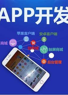 APP+公众号+小程序+直播商城开发